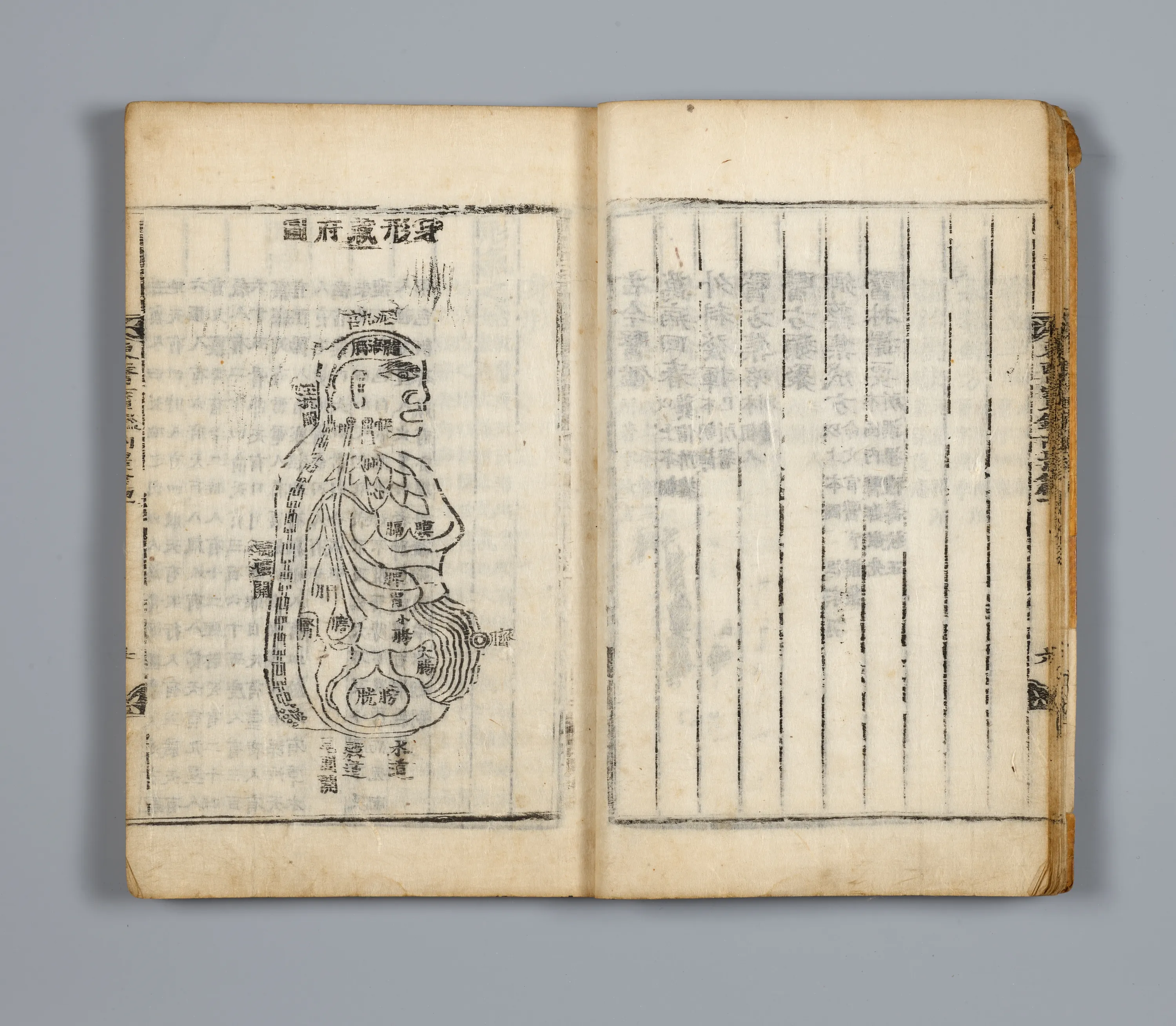 동의보감 신형장부도