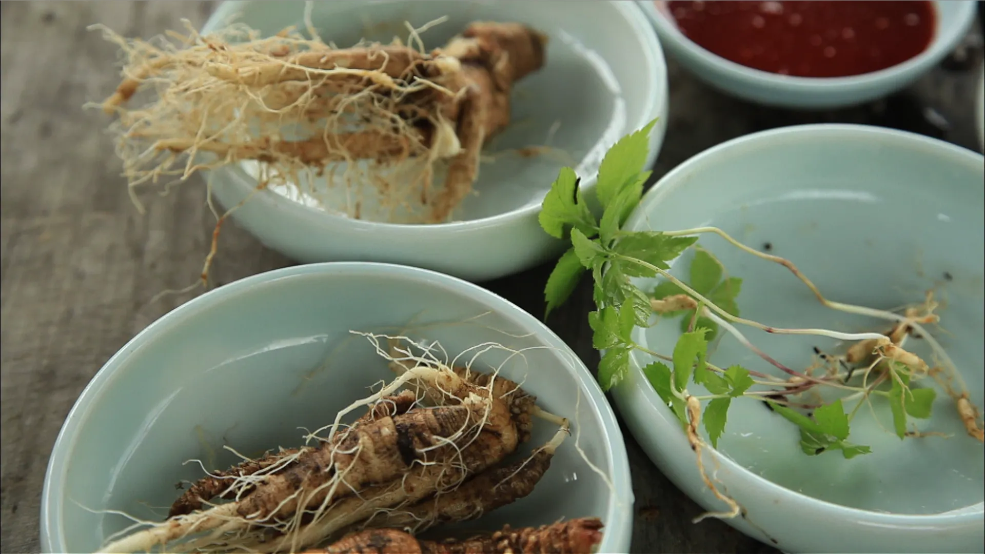 피곤한 당신에게 인삼이 필요한 이유