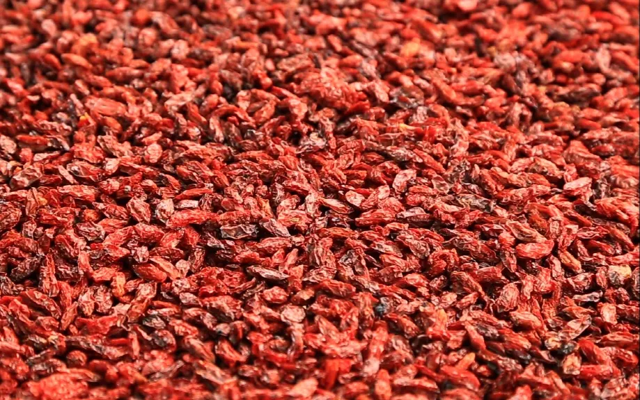 Harvested Goji Berries Drying