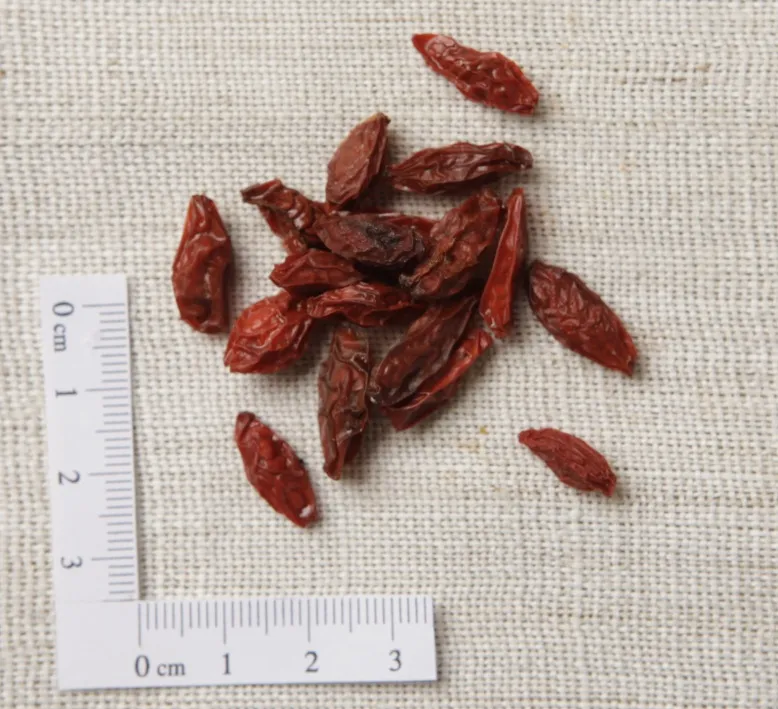 Dried Goji Berries