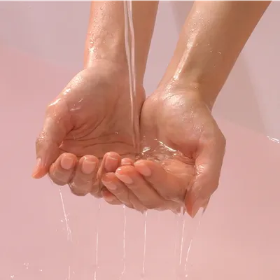 젤리 블러썸 데이