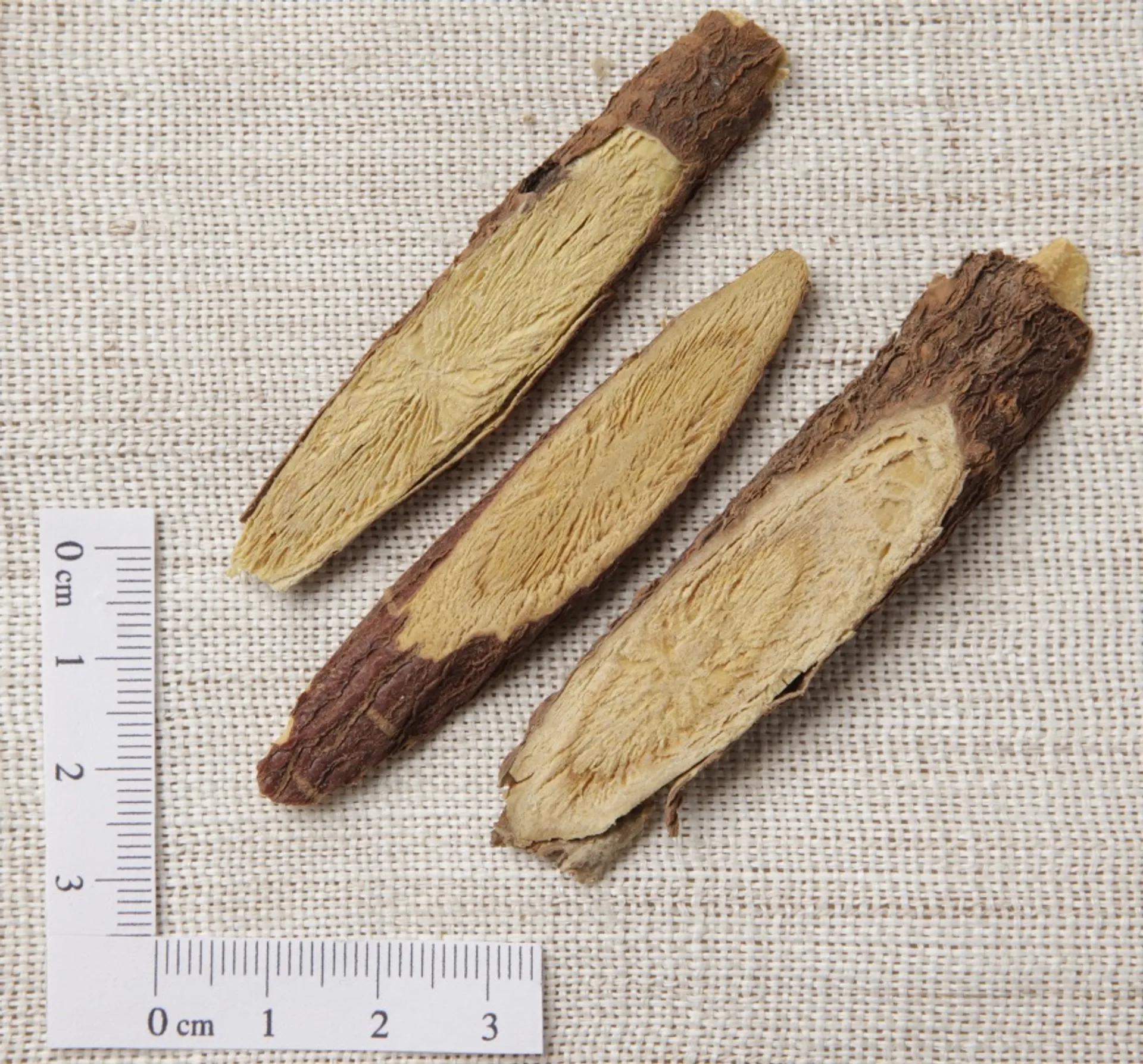 약방의 감초, 정말 빠지면 안 되는 이유